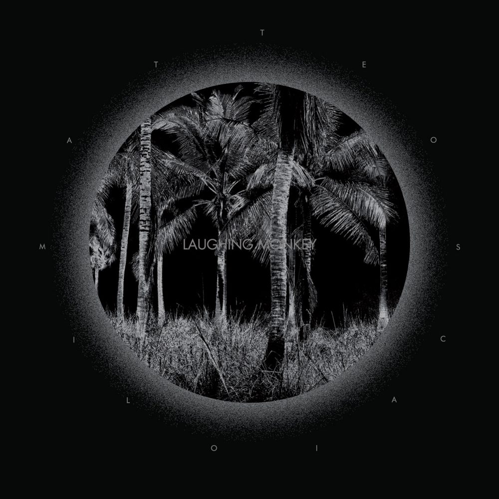 fronte copertina vinile matteo scaioli