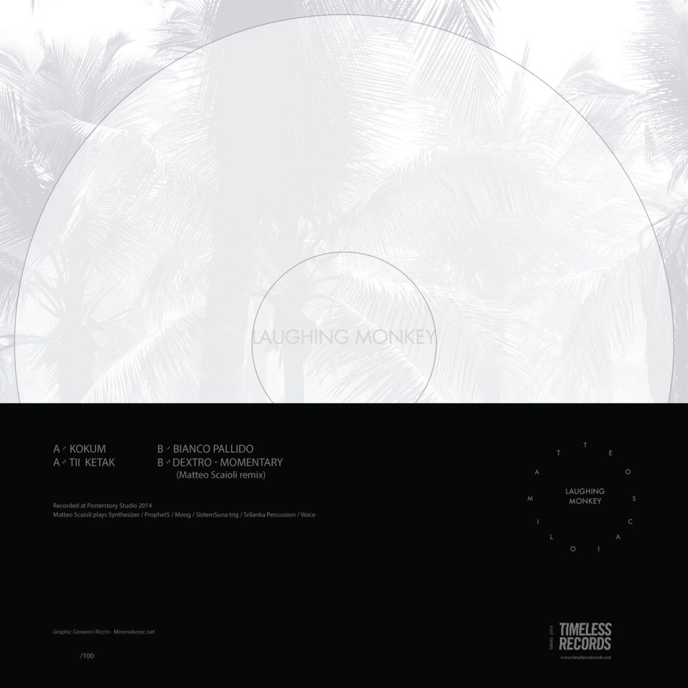 retrocopertina vinile matteo scaioli