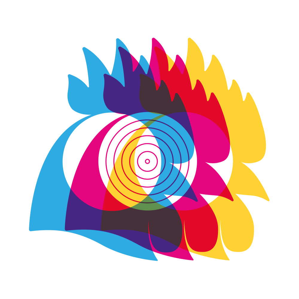 grafica maglietta amadori original